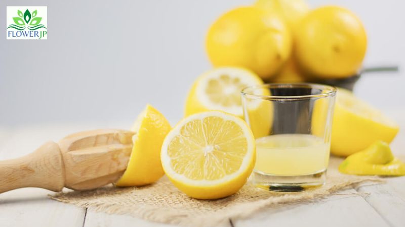 レモン水を作るときの注意点
